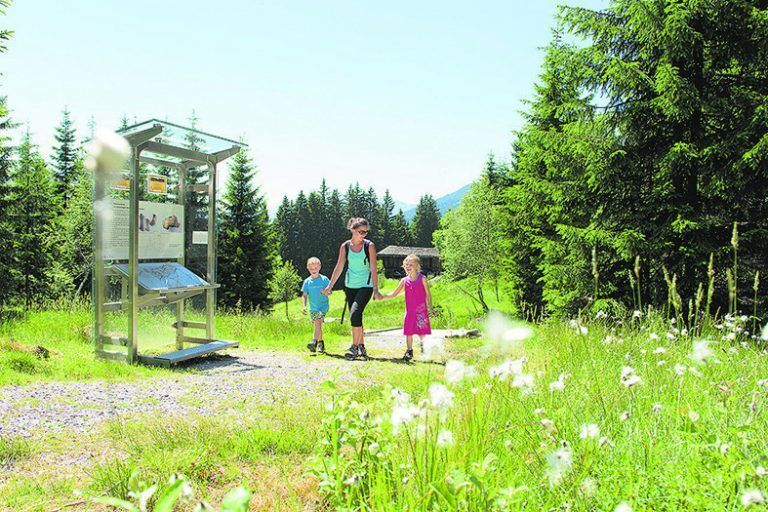 wandern, staunen und geniessen am kristberg in silbertal
Er gilt als der Genießerberg im Montafon: Der Kristberg bietet ein abwechslungsreiches Angebot für Familien und Erholungssuchende. Sie können wählen zwischen vielen Rundwanderungen mit gemütlichen Einkehrmöglichkeiten, Mountainbike- oder E-Bike-Touren, einem Besuch in der Waldschule, einer unterhaltsamen Knappenführung in der St.-Agatha-Kapelle oder einem der Bergerlebnisse rund um „Silbi“ und den Silberpfad.
