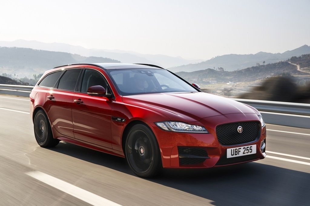 Britische Großkatze mit Sport-Anspruch