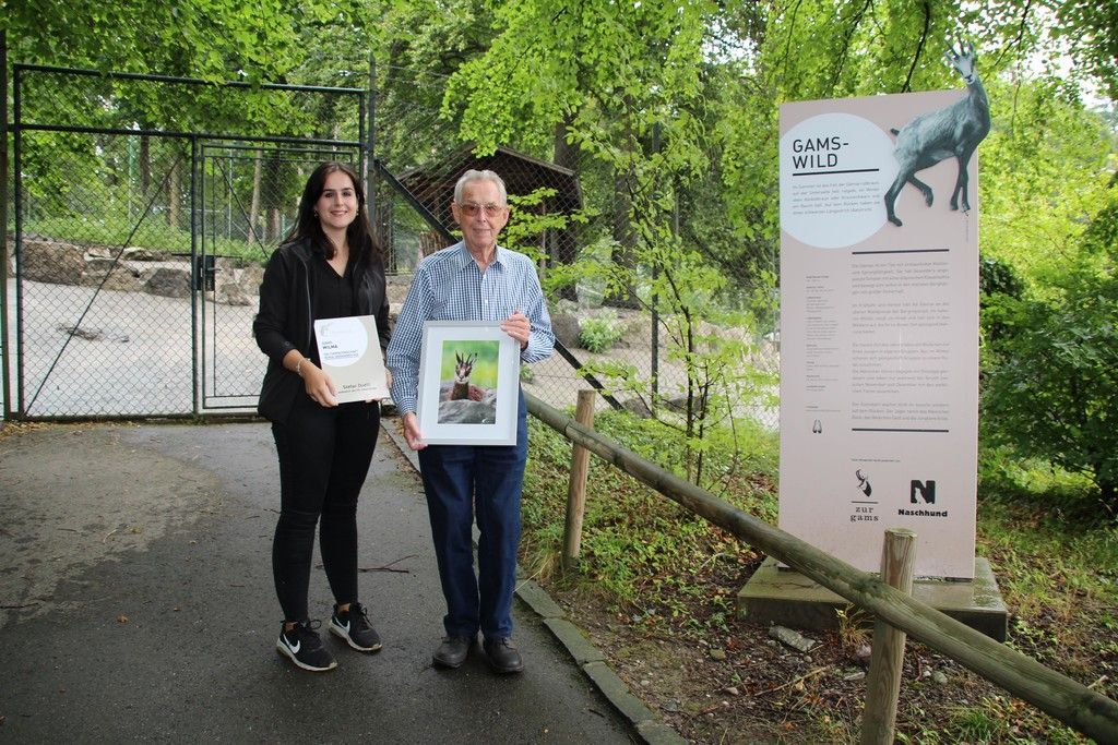 Eine Gams zum 90. Ehrentag