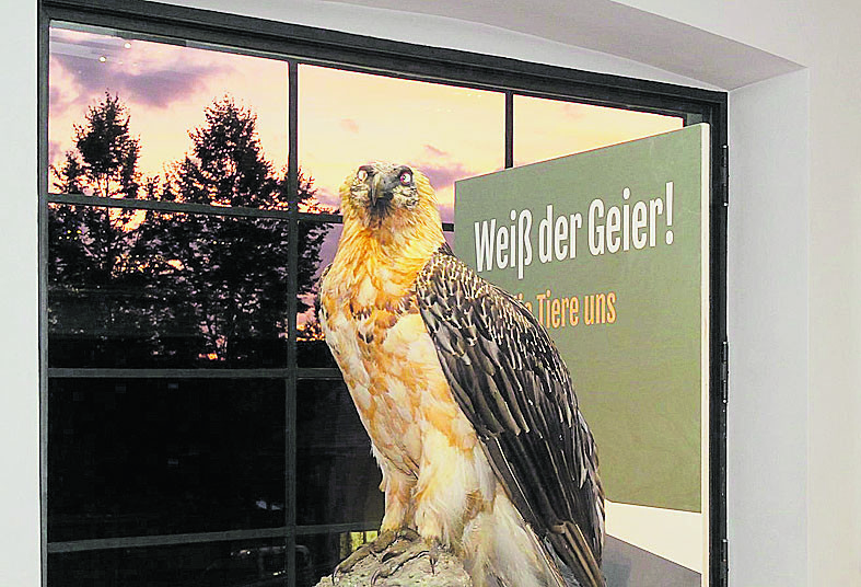 Über die Beziehung von Mensch und Tier