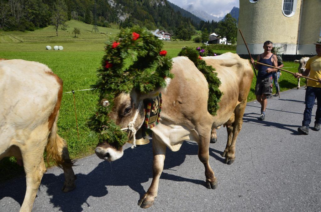 Gesund und munter zurück im Tal