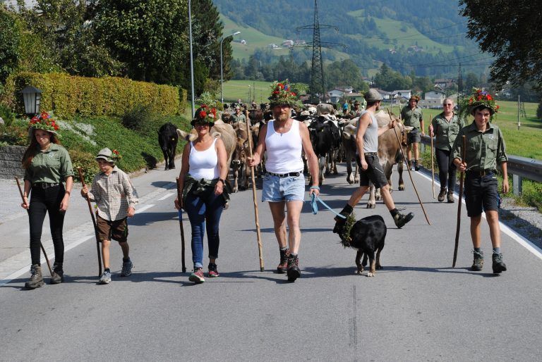 Familie Riedmann verbrachte ihre 12. Alpsaison auf der Alpe Albona. <span class="marker"><span class="copyright">SW</span></span>