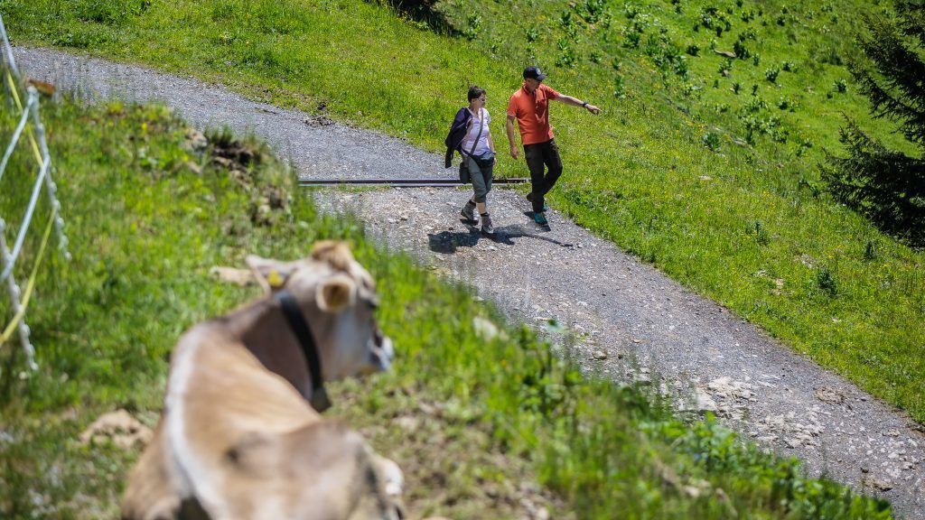 Diesen Sommer ein Drittel weniger Gäste in Vorarlberg