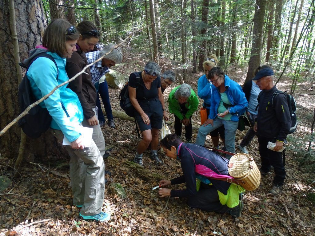 Bestens informiert durch Wald und Wiese