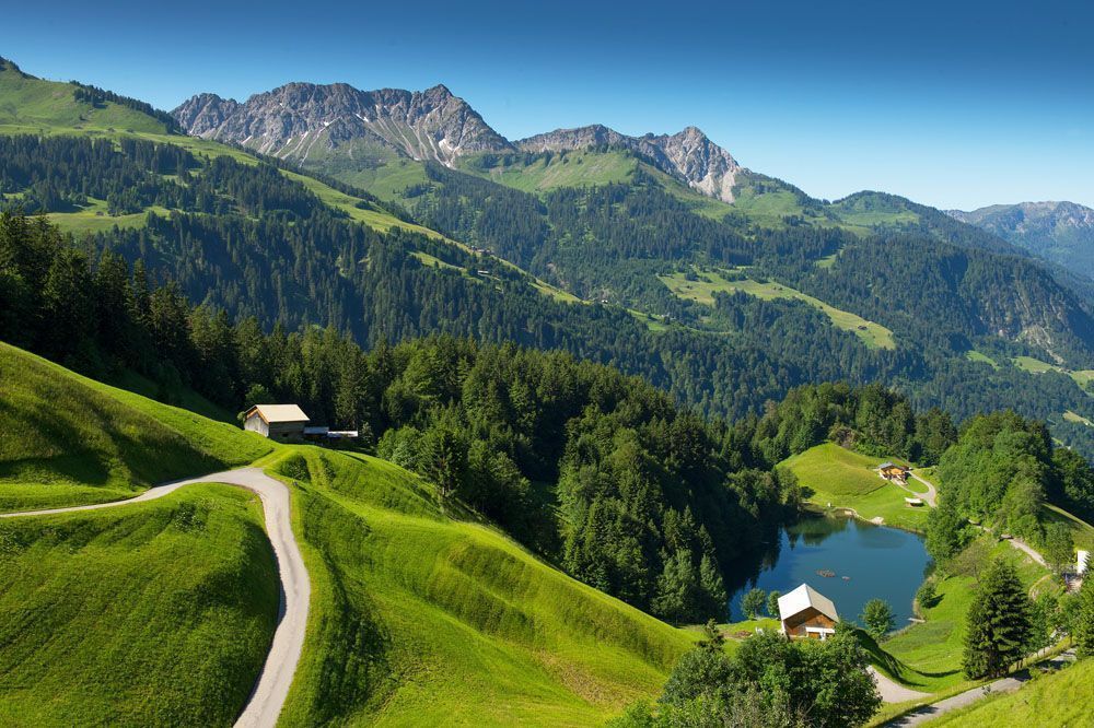 Abstimmen für den Seewaldsee