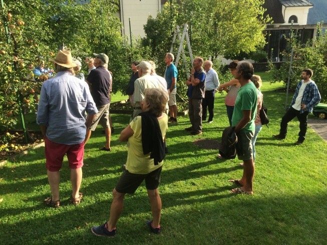 Sommerschnittkurs in Nüziders
