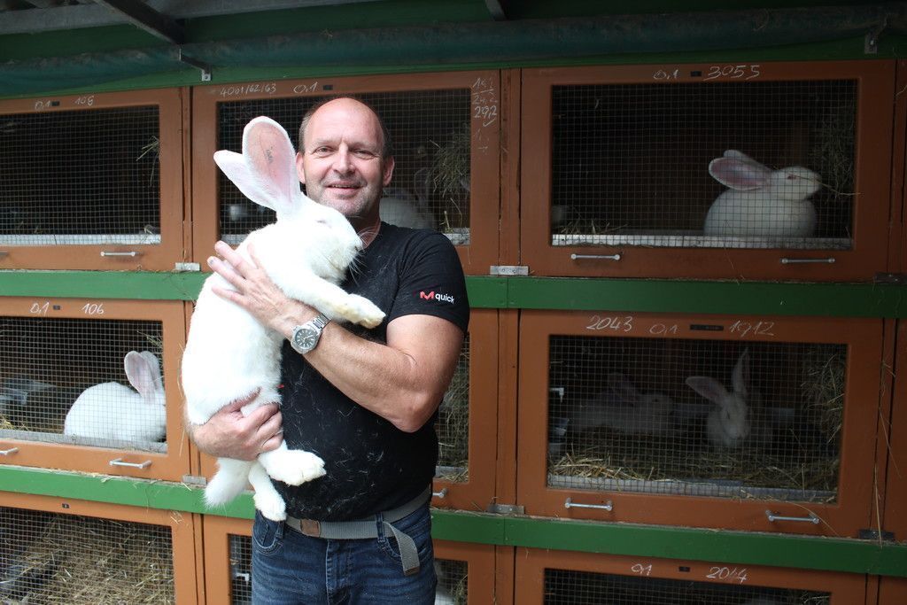 Meisterzüchter in der Nachbarschaft