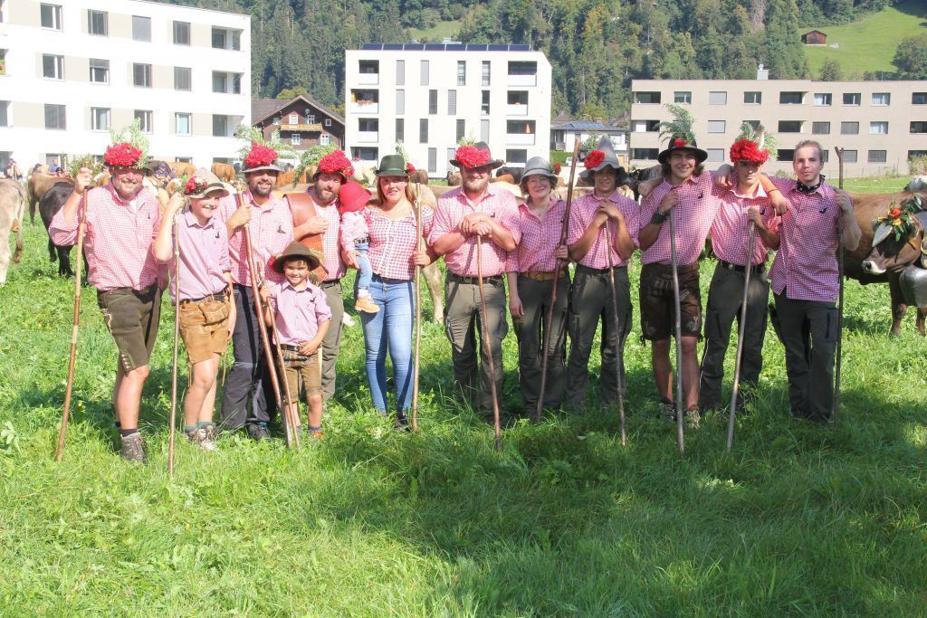 Alpabtrieb hoch drei