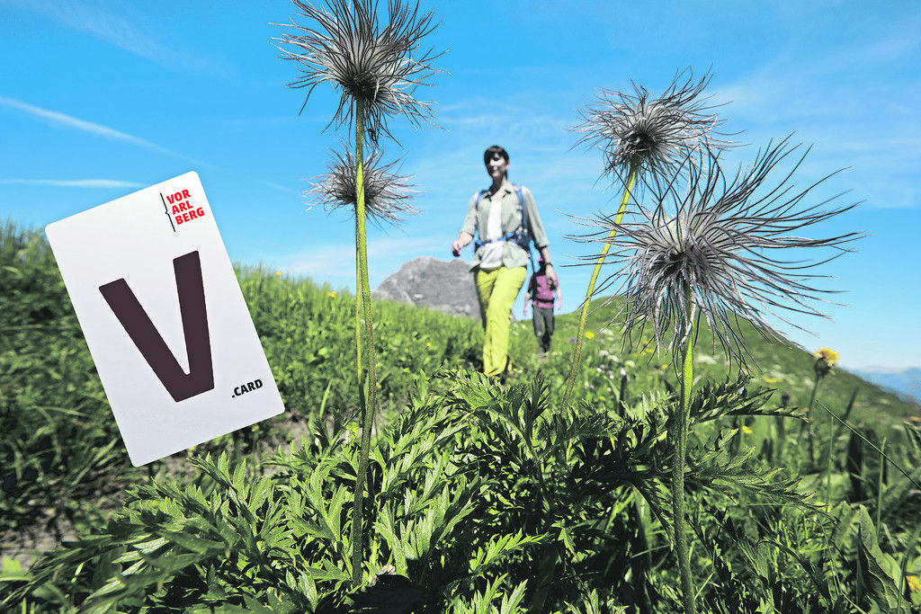 Messe-Erlebnis  mit vielen Extras