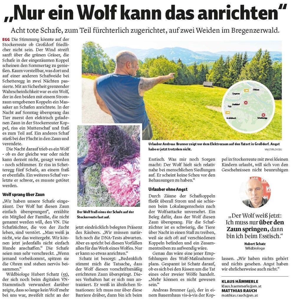 Wölfe und Schafe