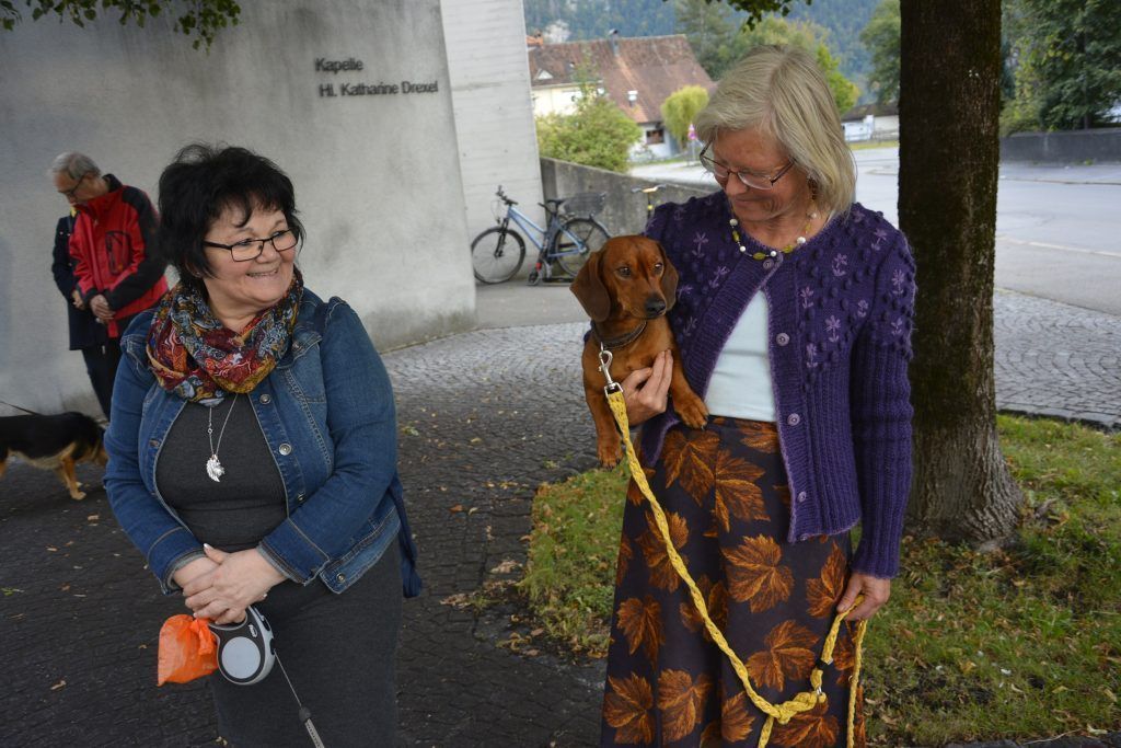 Segnung für tierische Freunde in Dornbirner Pfarre Hatlerdorf