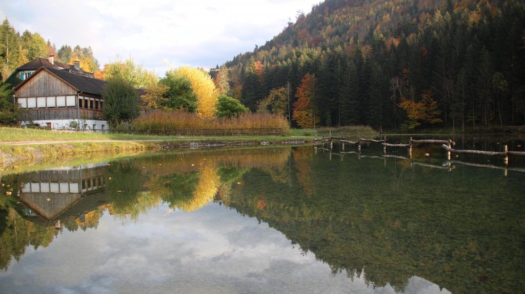 Eine Runde entlang des Wald-Wissens-Wegs