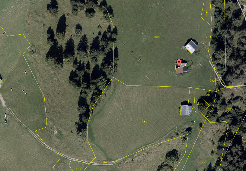 Wo in Raggal ein Maisäß-Gebäude für 180.000 Euro verkauft wurde