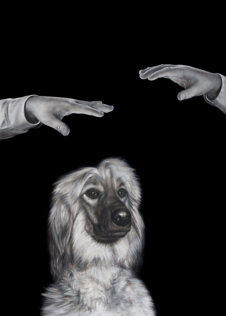 Katz und Hund in Trance