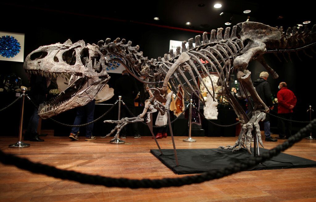 Dinosaurierskelett für drei Millionen Euro versteigert