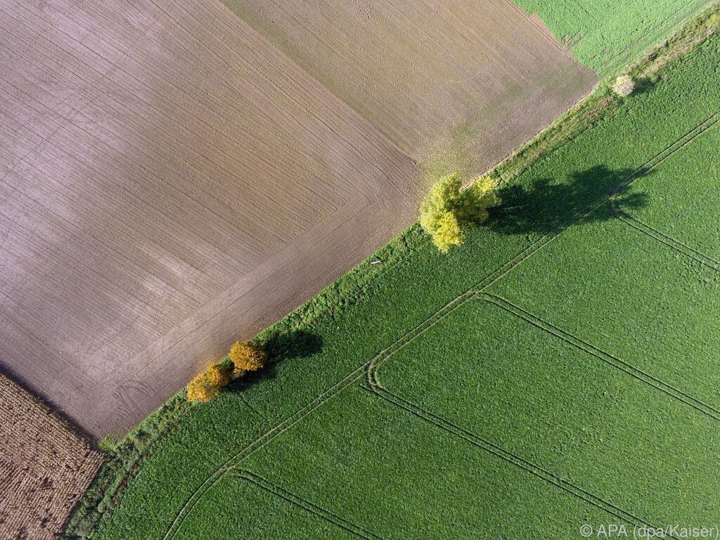 Arten- und Klimaschutz durch Renaturierung