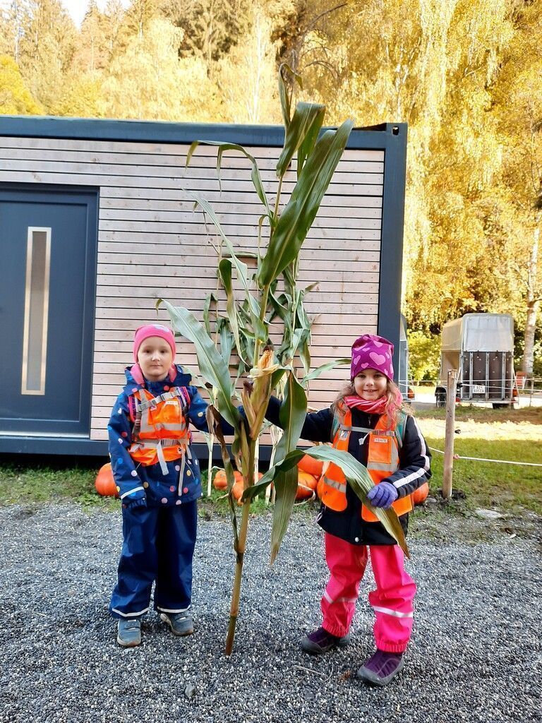 Erntedank  im Kindergarten
