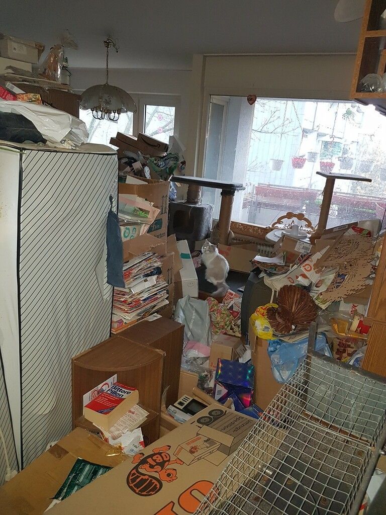 Katze überlebt vier Monate in Wohnung
