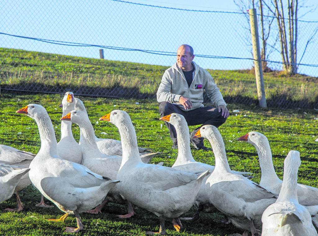 Dieses Jahr ist Gans anders
