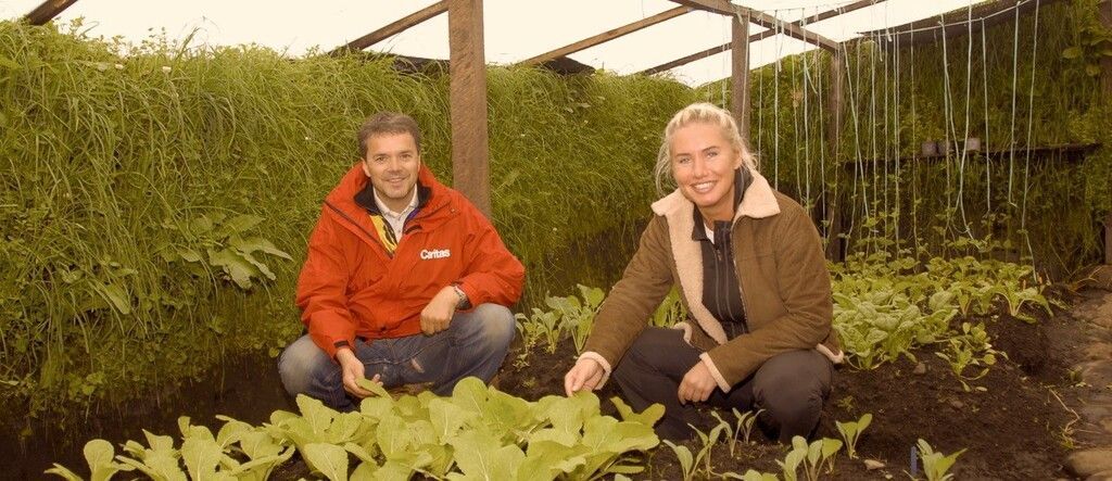 So geht global gesunde Lebensmittelsicherung