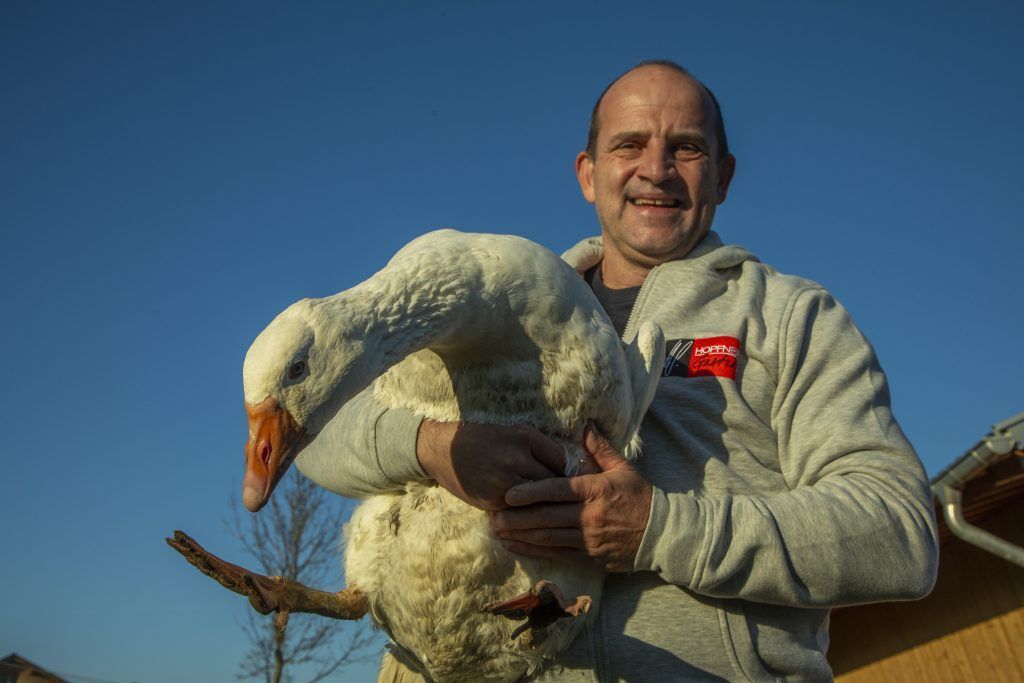 Martinigans trotz Lockdown