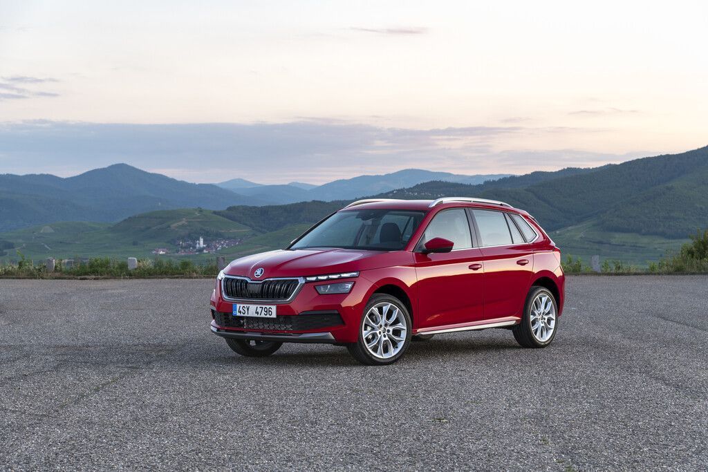 Kleiner Jungbär mit großem Innenraum