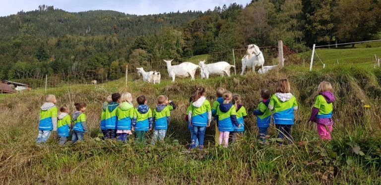 Mit speziellen T-Shirts ausgerüstet waren die Kinder in Düns, Dünserberg oder Schnifis unterwegs und sammelten nicht nur Kilometer, sondern lernten auch ihre Heimat kennen.
