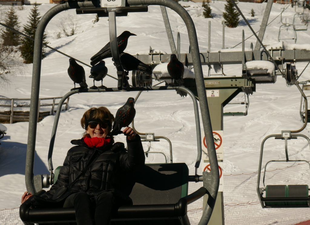 Ein Skilift wird zur Kunstplattform
