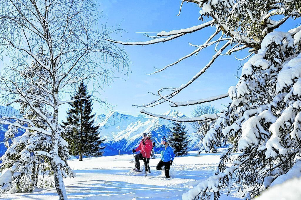 Den Zirbenwald im Winter erleben