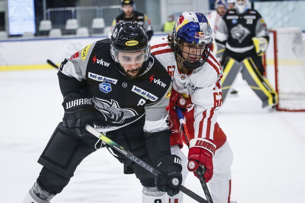 Bulldogs ohne Punkte