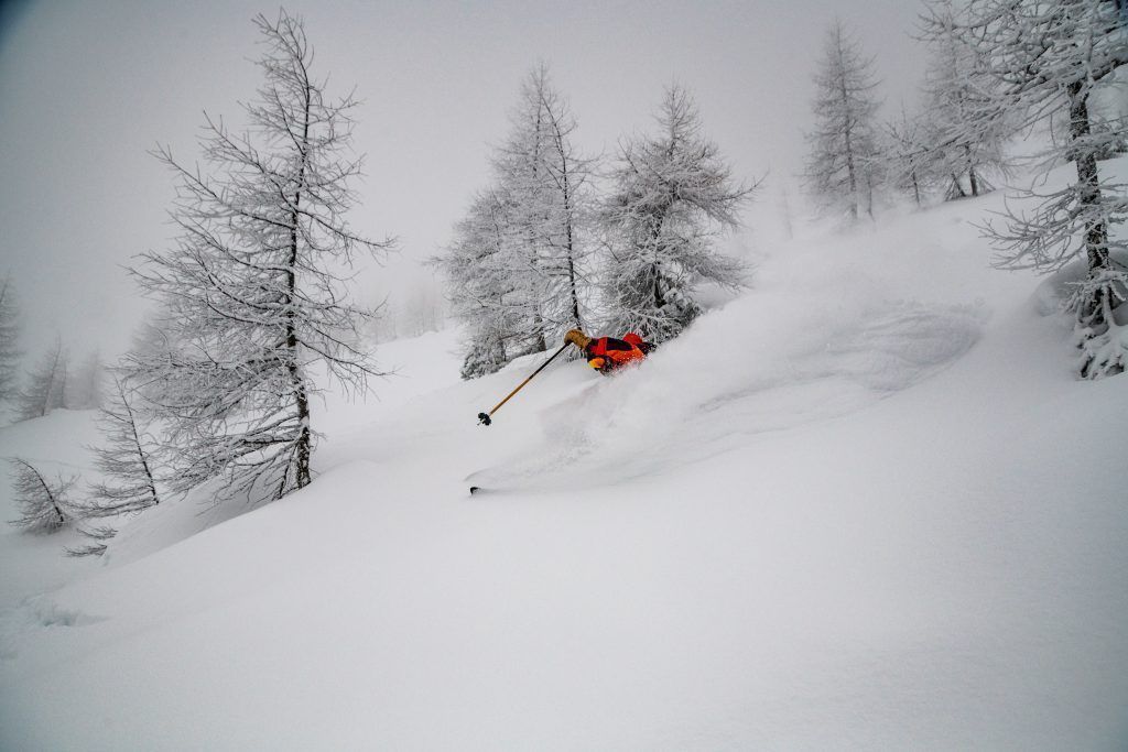 Deshalb freut sich Freerider Tao Kreibich auf den Moment im Startgate