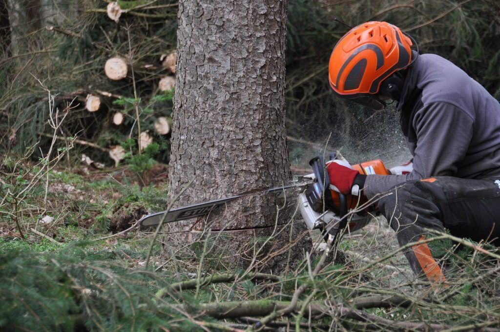 Baum stürzt auf Landwirt
