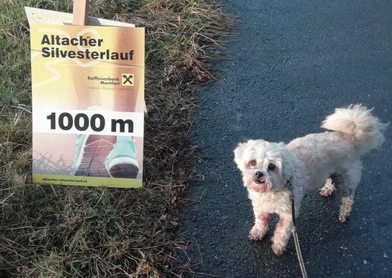 Beim 23. Altacher Silvesterlauf waren Jung und Alt aus zwölf Nationen mit dabei – sogar Vierbeiner Charly reihte sich in die Teilnehmerschar.<span class="copyright">Mäser</span>