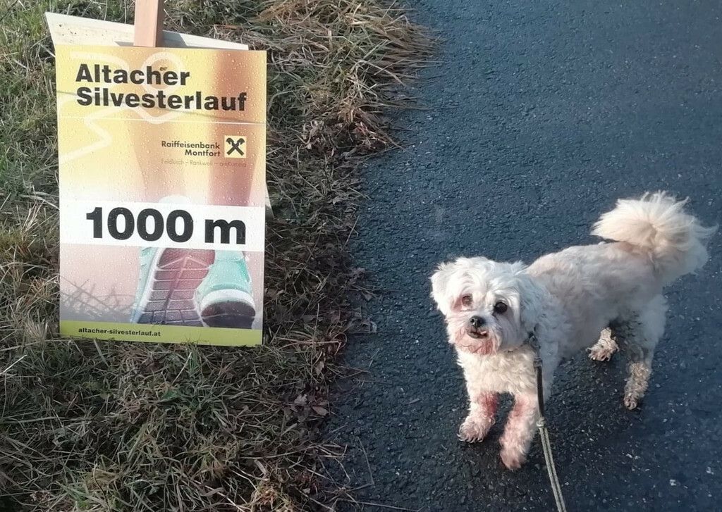 600 reelle Sportler bei virtuellem Silvesterlauf