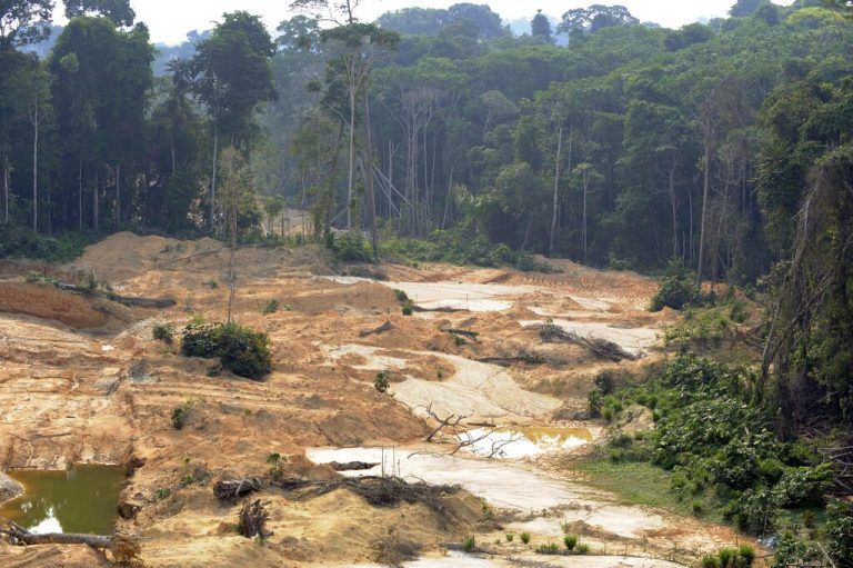 Den größten Verlust gibt es dem WWF-Report zufolge im Amazonas. AFP