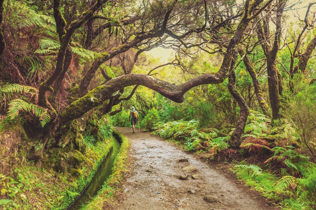 Stille Wanderwege auf der Blumeninsel