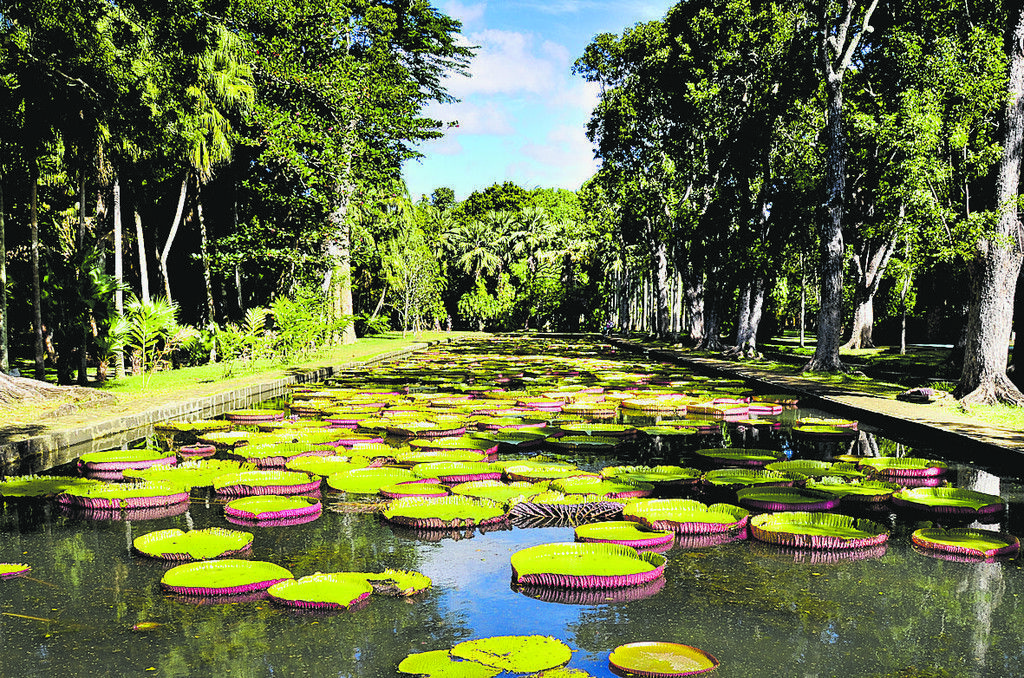 Botanische Gärten mit seltenen Pflanzen