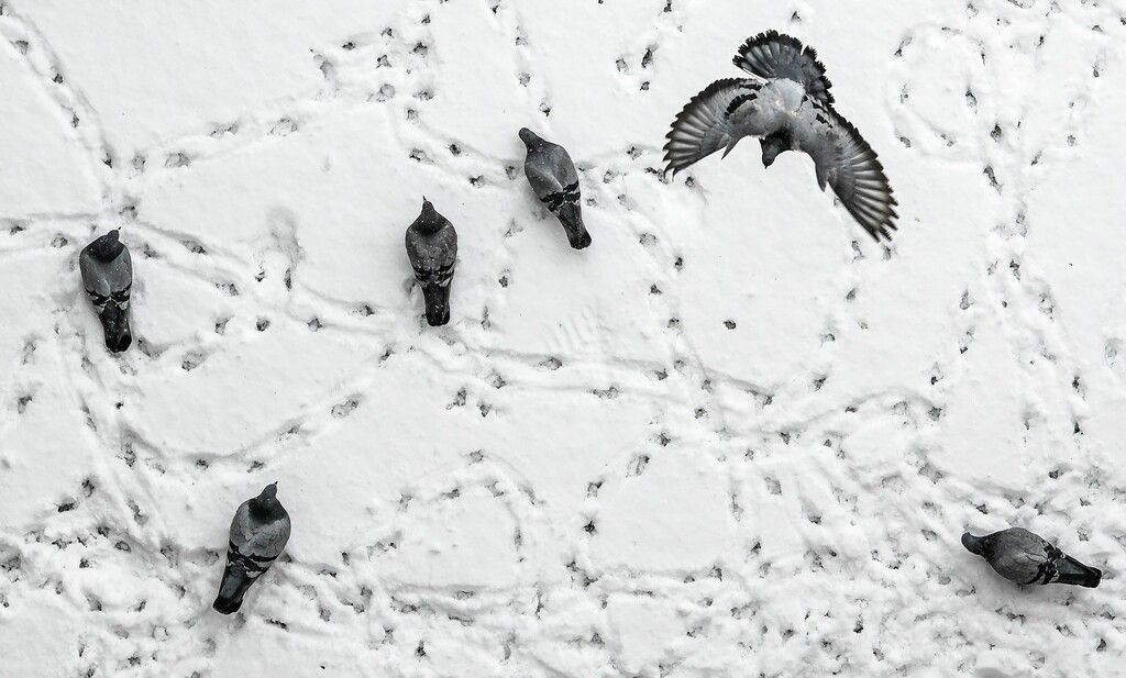 Bilder des Tages