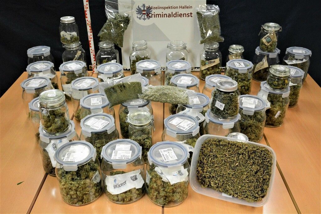 Cannabisplantage ausgehoben