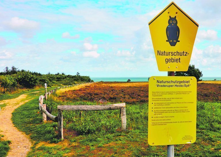 Einmal im Monat werden Sagenwanderungen durch die Heide angeboten.