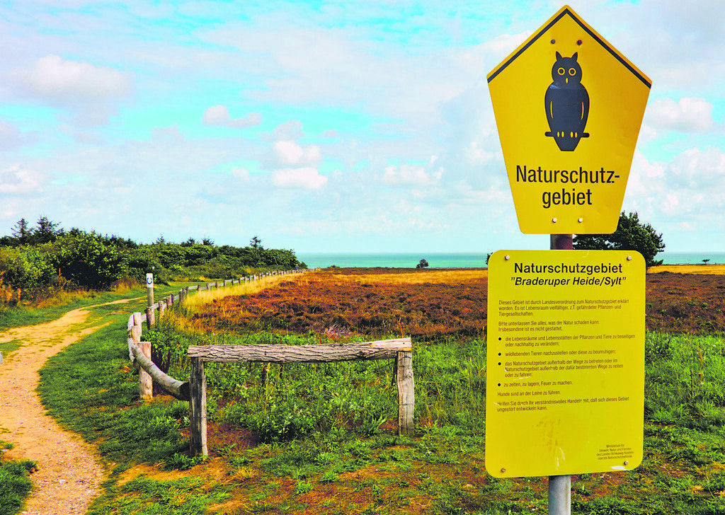 Sagenwanderung in der Braderuper Heide