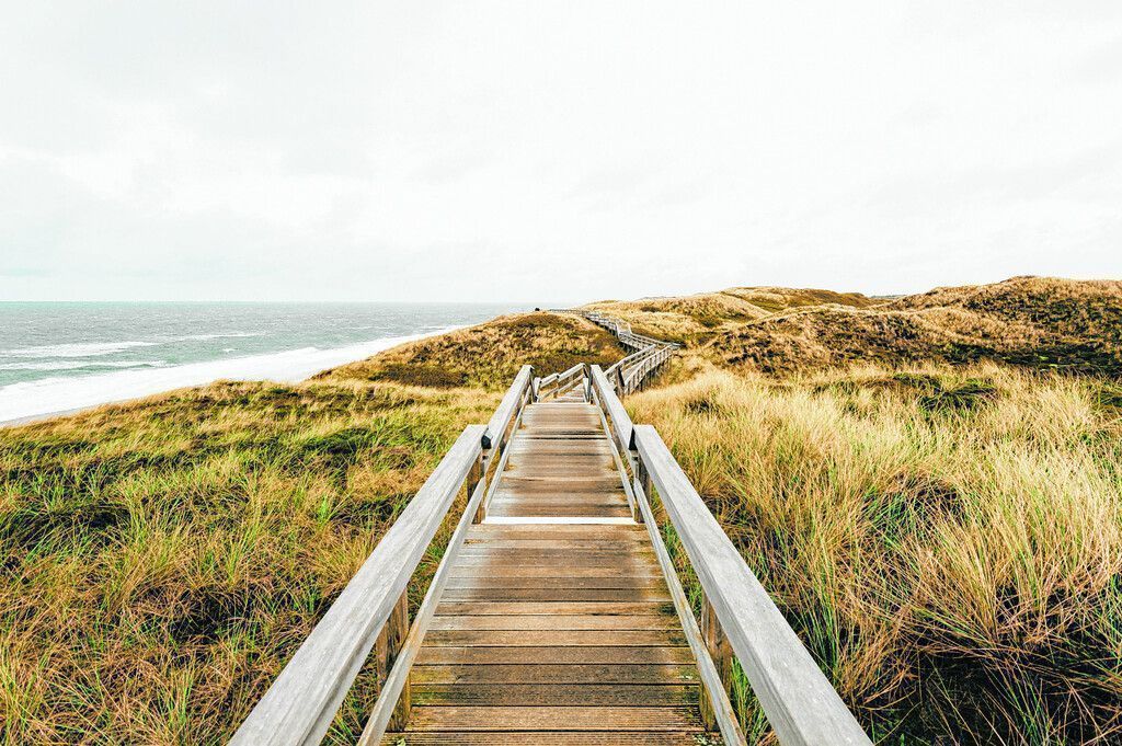 Sylt zu Fuß entdecken
