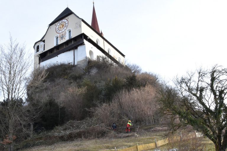 Mitarbeiter des Rankweiler Bauhofs beim Auslichten des Gehölzes am Liebfrauenberg.<span class="copyright">Marktgemeinde</span>