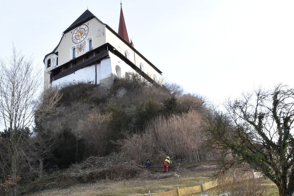 Landschaftspflege am Liebfrauenberg