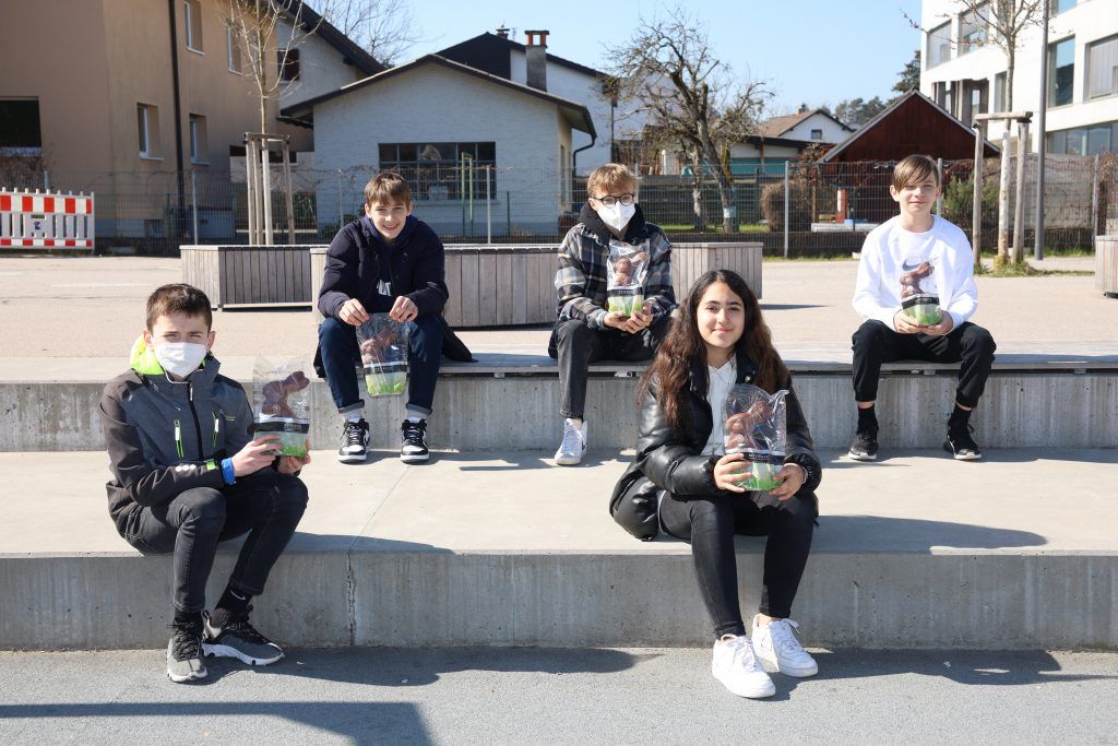 Das Siegervideo der 3a-Klasse der SMS Bregenz-Schendlingen