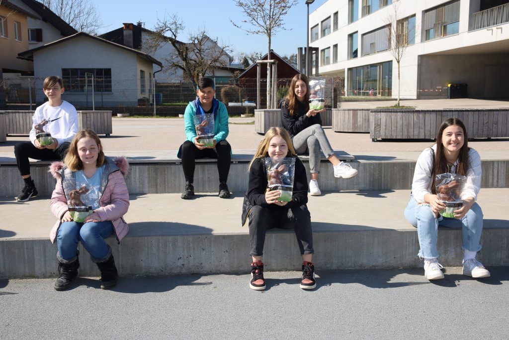 Das Siegervideo der 3a-Klasse der SMS Bregenz-Schendlingen