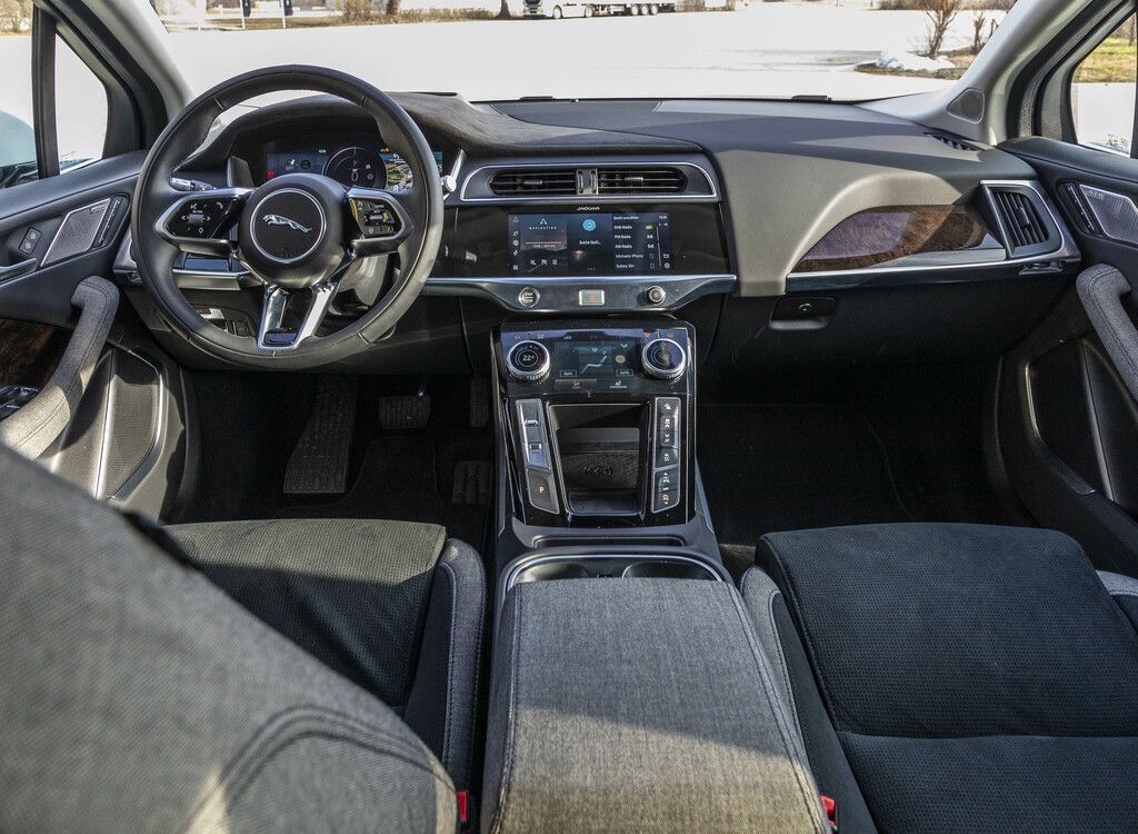 Strom-Edelkatze, frisch aufpoliert