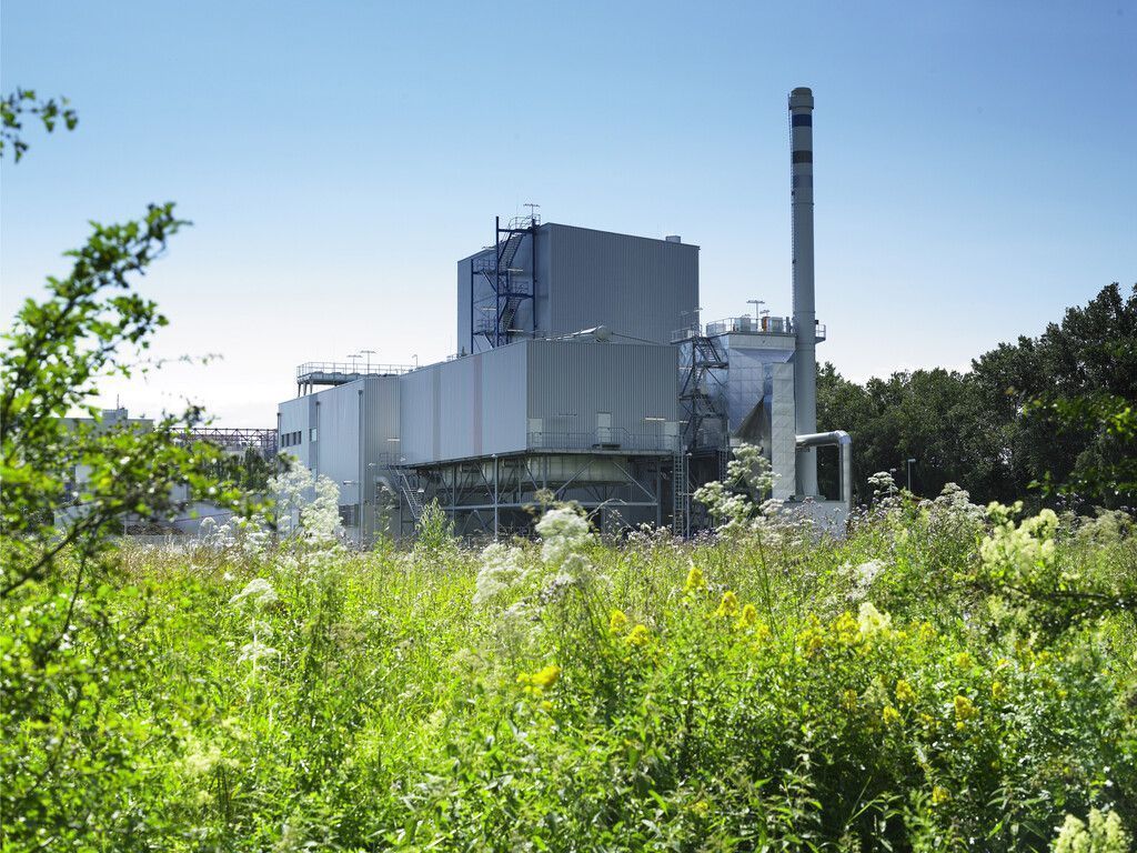 Grüne Reststoffverwertung