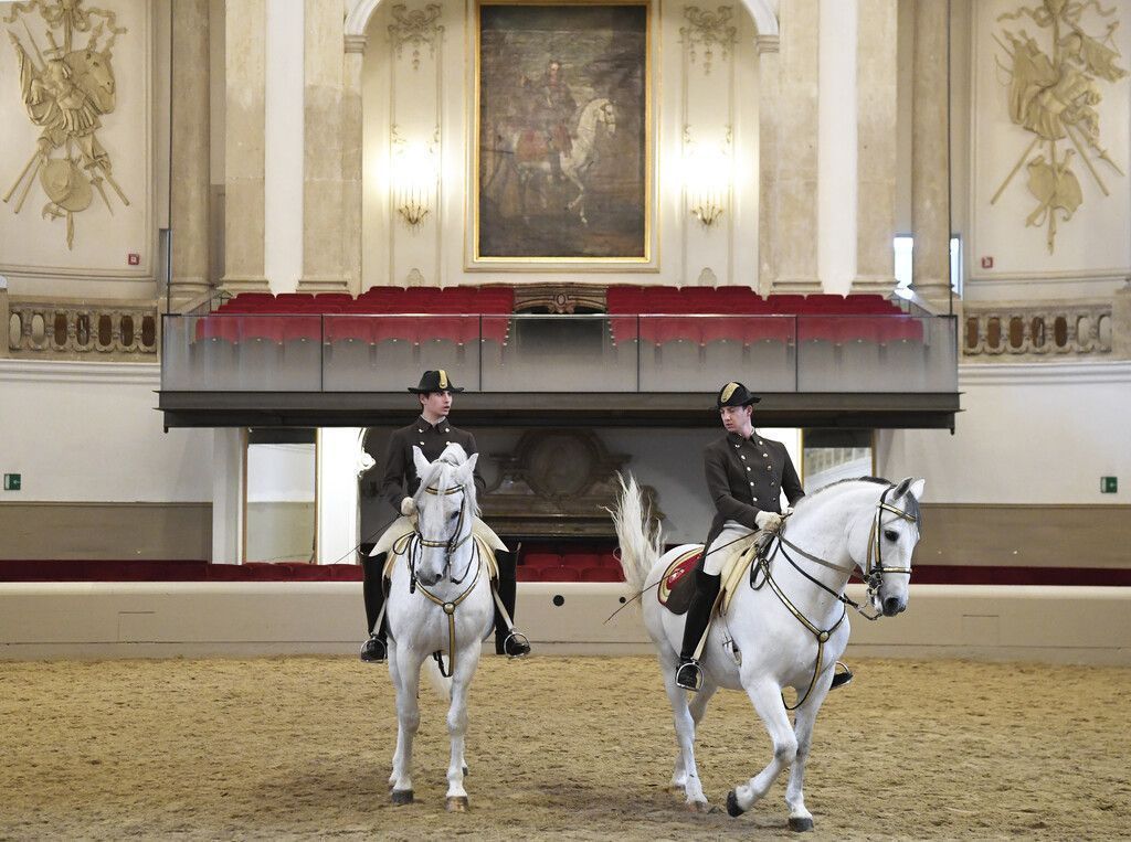 Berühmte Lipizzaner auf Gnadenhof