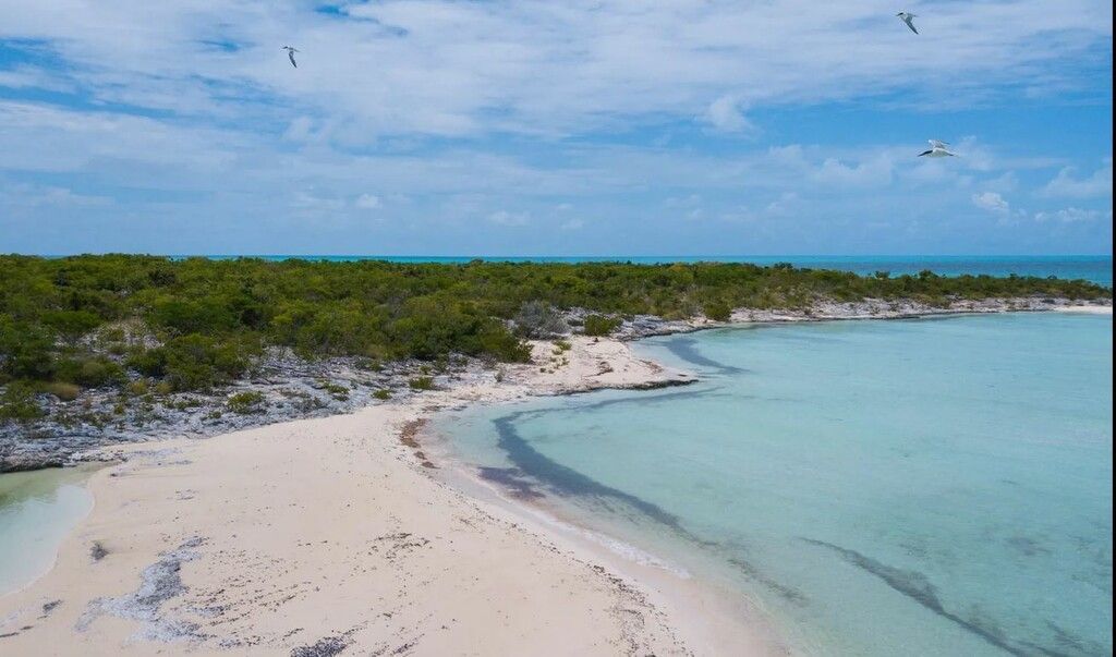 Bahamas-Privatinsel steht zum Verkauf